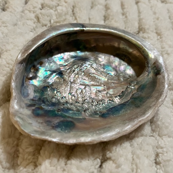 Abalone Healing Shell - Picture 4 of 4